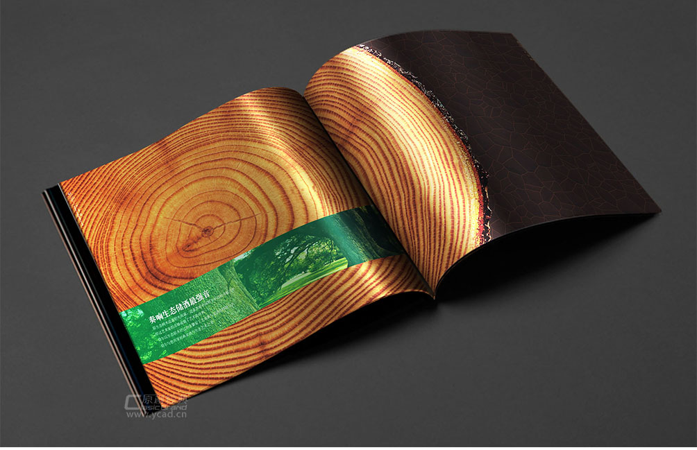 紅酒實(shí)木酒柜宣傳畫冊(cè)