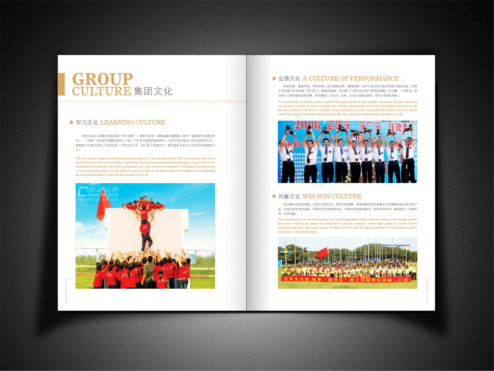 數(shù)碼電子企業(yè)畫(huà)冊(cè)設(shè)計(jì)