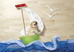 寵物攝影：貓貓狗狗去歷險